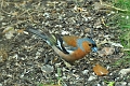 23 06 15_5297_edited-1